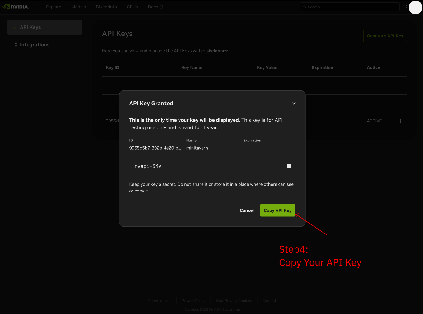 API Key をコピー